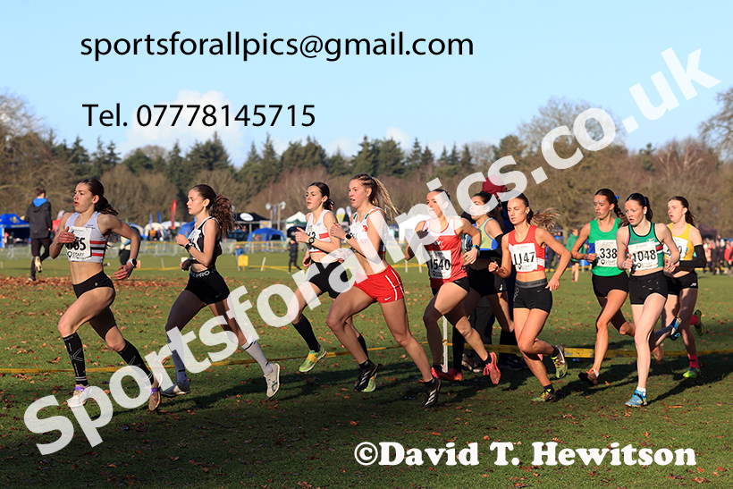 Womens under-17s 2025 Northern Cross Country Champs, Tatton Park, Knutsford, Cheshire. Photo: David T. Hewitson/Sports for All Pics